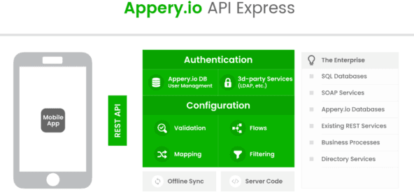 С API Express крупный бизнес может подключаться к различным сервисам и БД